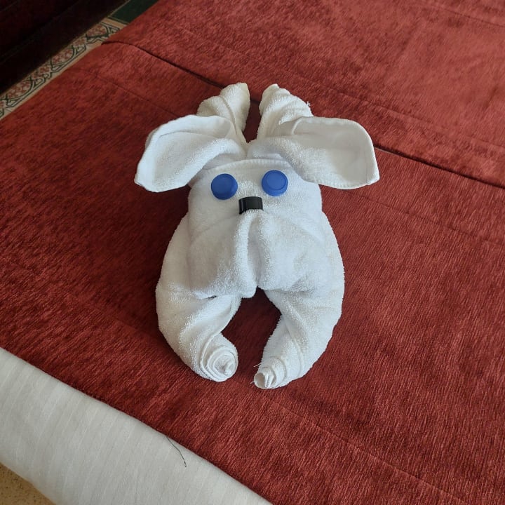 Zimmer Palm Royale Resort - Soma Bay