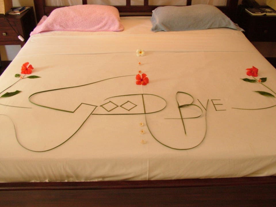 Abschied bis zum nächsten Mal Hotel Bentota Village