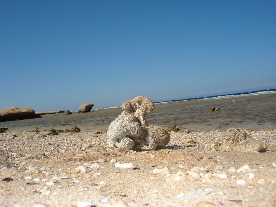 Piekna plaza Serenity Alpha Beach