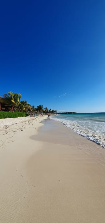 Strand Akumal Bay Beach & Wellness Resort