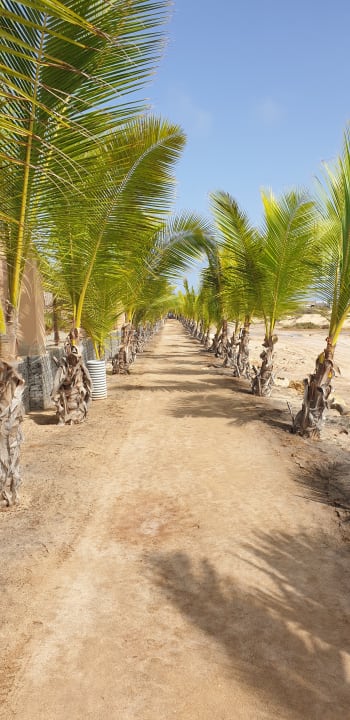 Strand Hotel Riu Funana