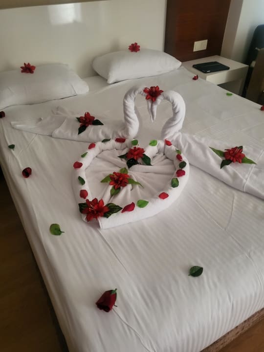 Zimmer Seaden Sea World Resort & Spa