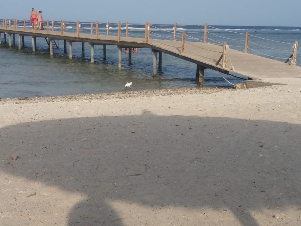 Strand Novotel Marsa Alam Beach Resort