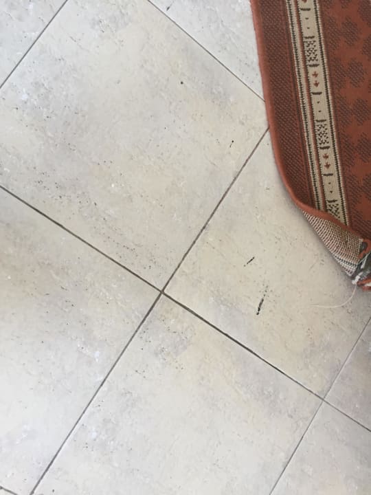 Tote Insekten überall im Zimmer Hotel Titanic Palace