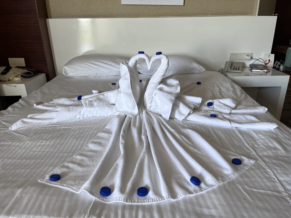 Zimmer Seaden Sea World Resort & Spa