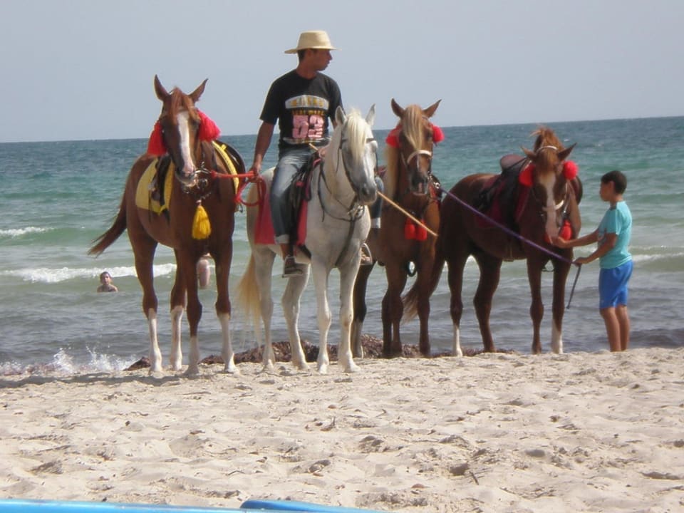 Pferde am Strand Djerba Sun Beach Hotel & Spa