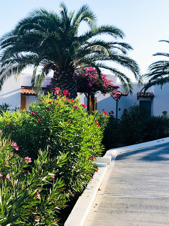 Gartenanlage Lagas Aegean Village