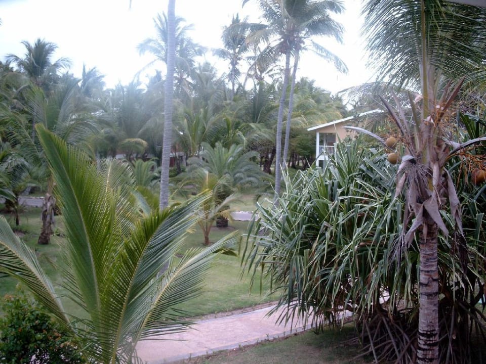 Garten Palladium Bavaro Grand Palladium Select Bávaro Resort & Spa