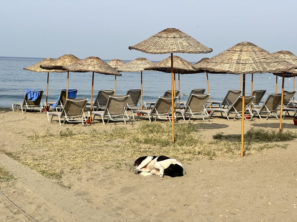 Strand Kustur Club Holiday Village