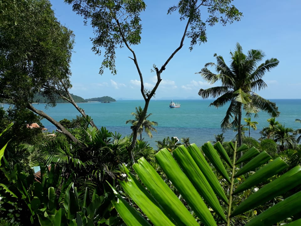 Ausblick Amatara Welleisure Resort