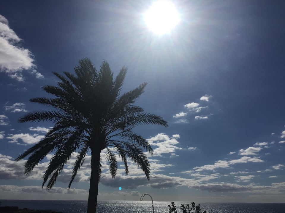 Pool Bahia Principe Sunlight Costa Adeje