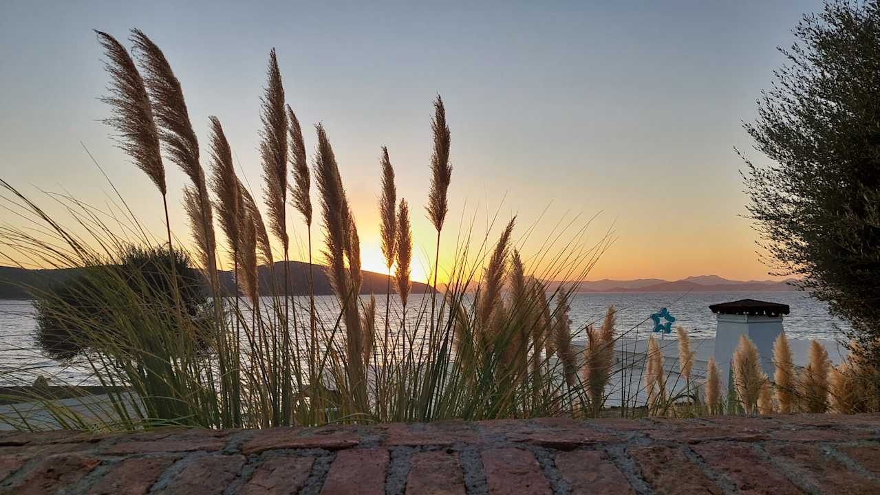 Ausblick TUI MAGIC LIFE Bodrum - Adult Only (16+)