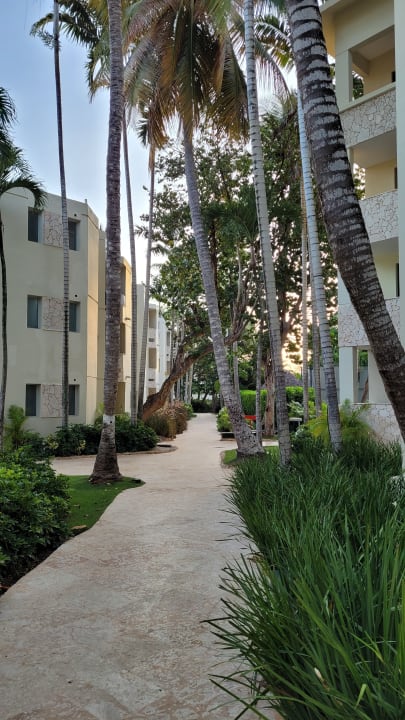 Gartenanlage Hotel Viva Dominicus Beach by Wyndham - All Inclusive Resort