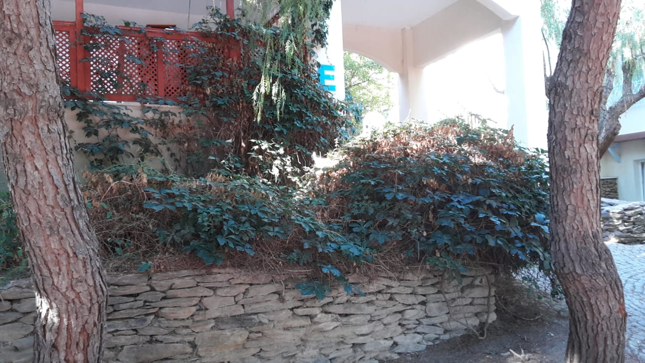 Nicht gepflegte Anlage  Teos Village