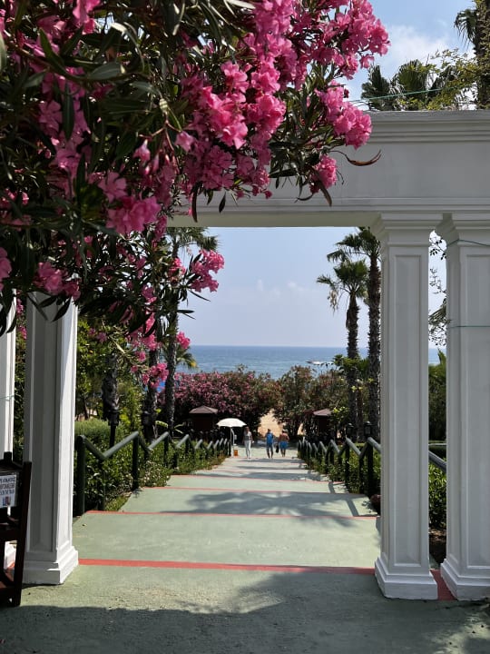 Gartenanlage Trendy Aspendos Beach Hotel