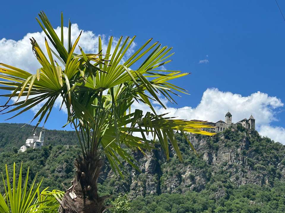 Ausblick Hotel Camping Ansitz Gamp