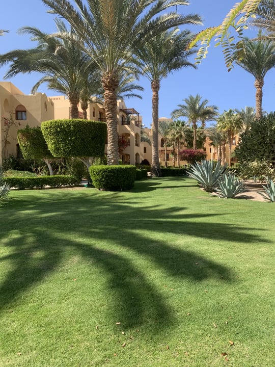 Gartenanlage Steigenberger Coraya Beach - Adults only