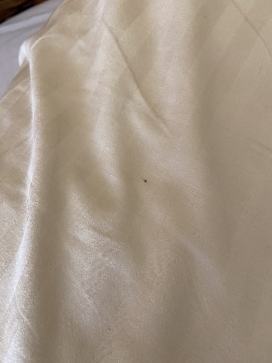 Zimmer The Grand Palace - Adults only