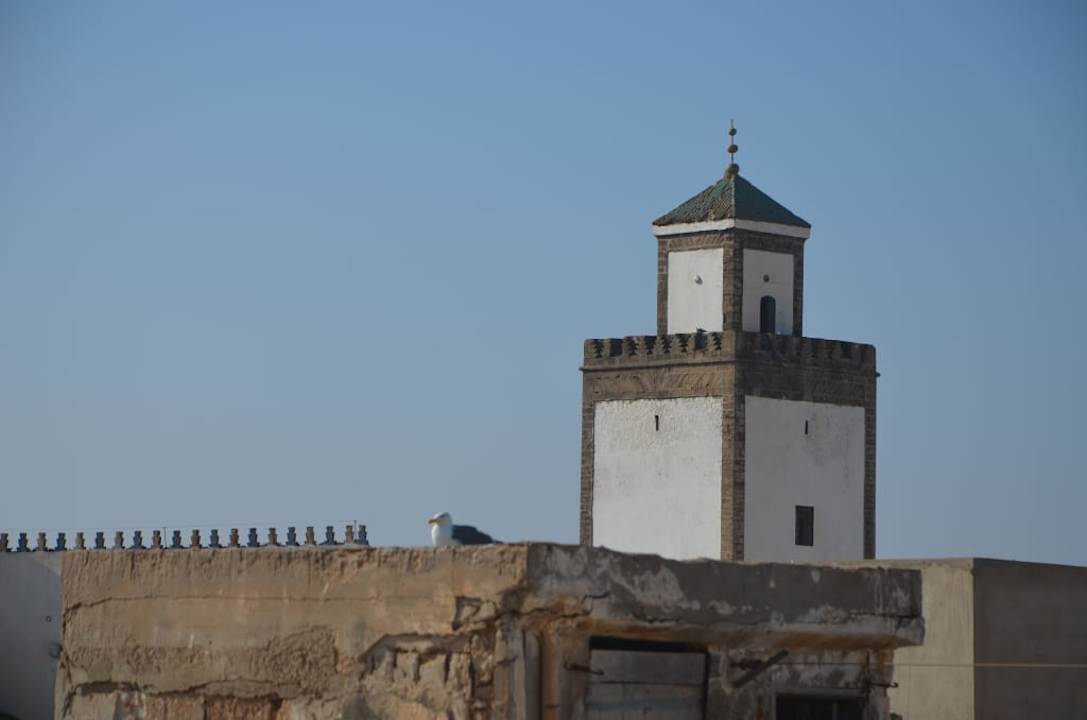 Widok z tarasu na miasto Riad Sidi Magdoul