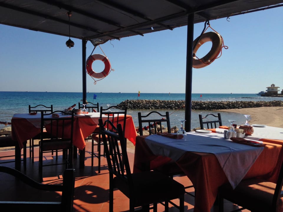 Fisch-Restaurant am Meer Desert Rose