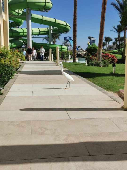 Sport & Freizeit Titanic Beach Spa & Aqua Park