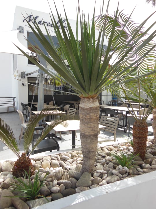 Restaurant Hotel Sunrise Beach