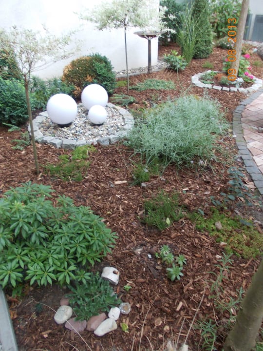 Klein, aber fein Hotel Vier Jahreszeiten Kühlungsborn