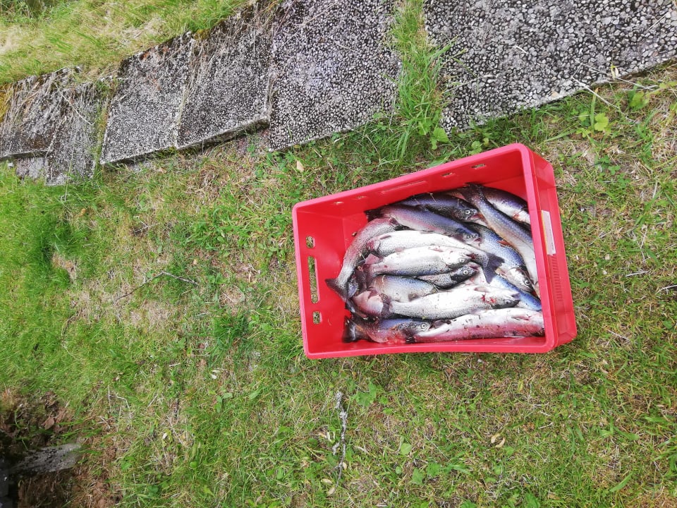 Sonstiges Hotel Alpenwelt