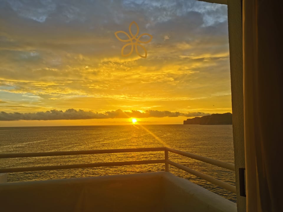 Gastro Sentido Fido Punta del Mar – Adults only