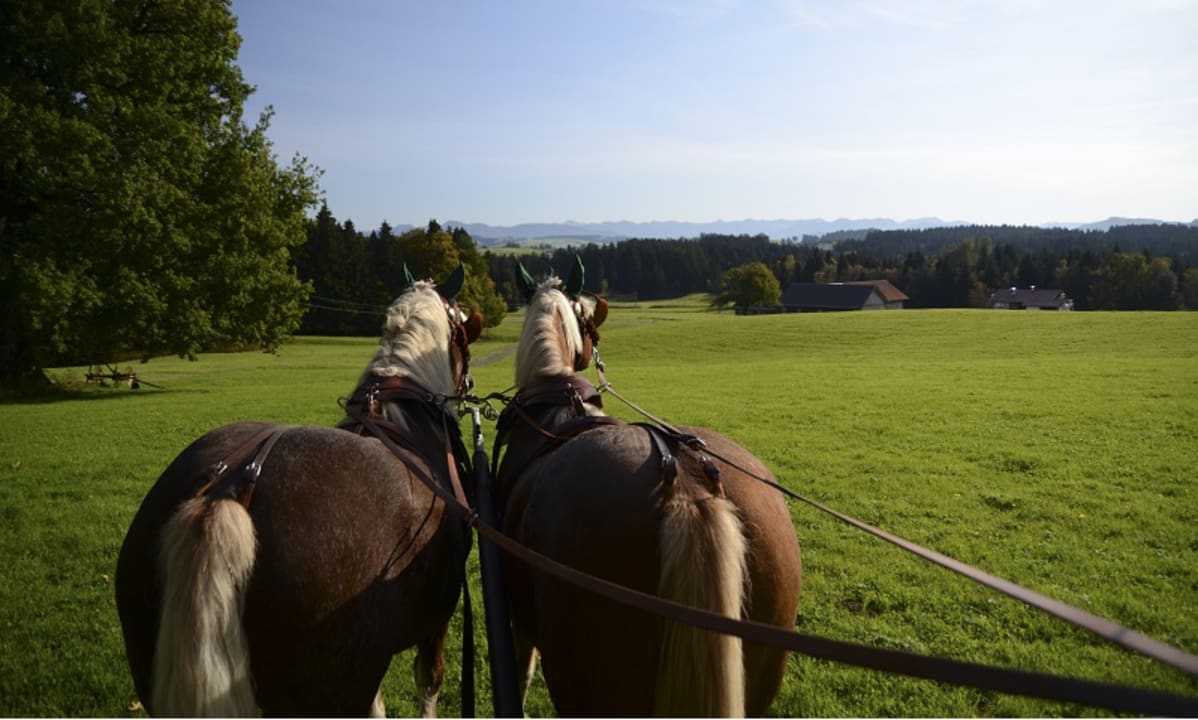 Sonstiges Hofgut Ratzenberg