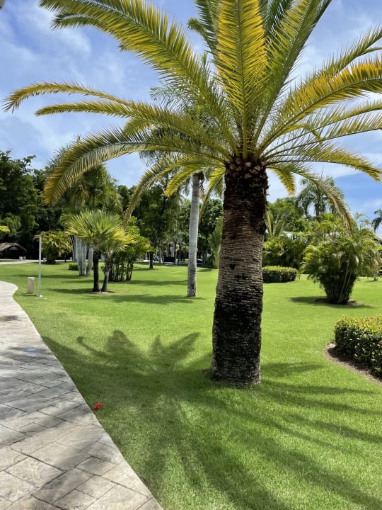 Außenansicht Grand Bávaro Princess