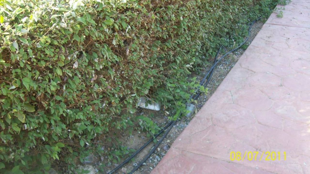 Müll so weit das Auge reicht Hurghada Long Beach Resort