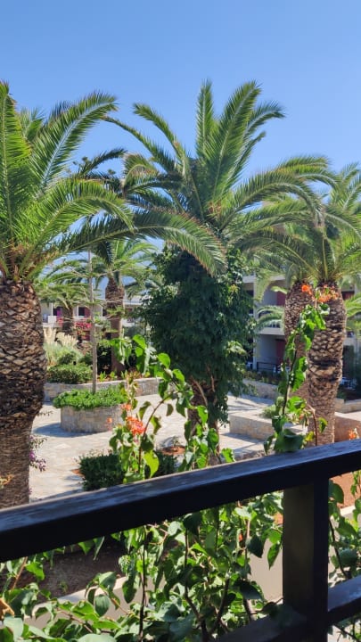 Gartenanlage allsun Hotel Malia Beach