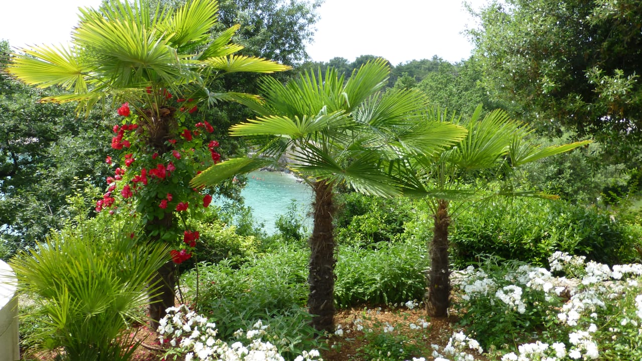Gartenanlage Sunny Krk by Valamar