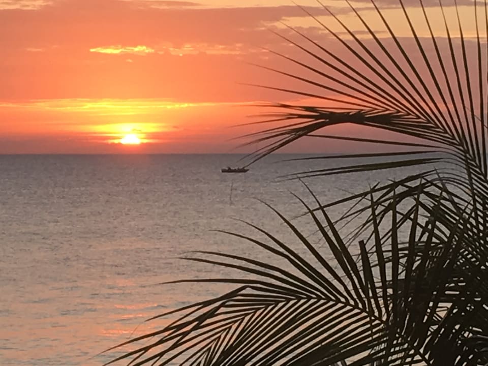 Ausblick Royal Zanzibar Beach Resort