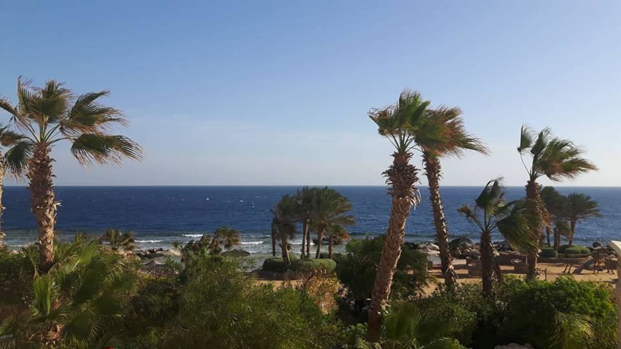 Strand Pickalbatros Citadel Resort