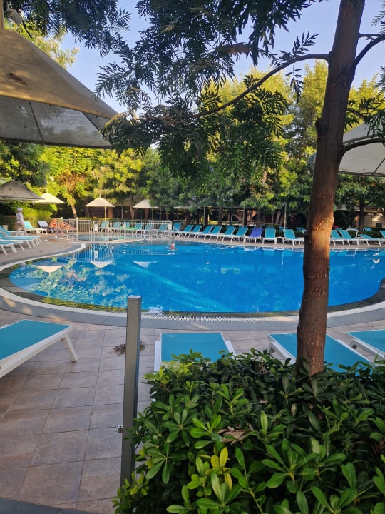 Pool Can Garden Beach