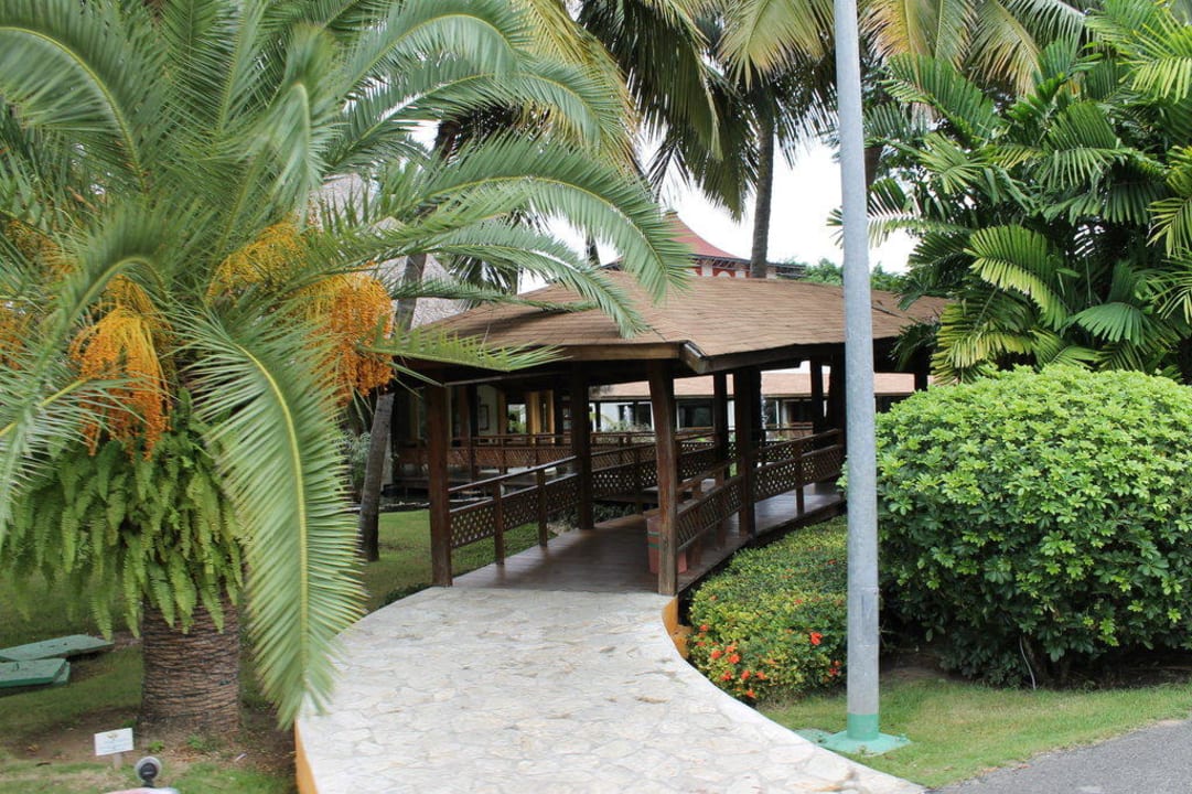 Hier gehts zu den 3 Restaurants des Bavaro Grand Palladium Select Bávaro Resort & Spa