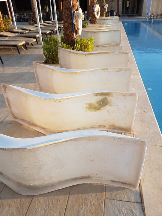 Pool Steigenberger Makadi Hotel - Adults only