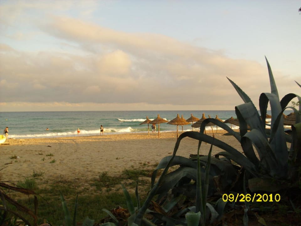 Strand abends Hotel Royal Nozha