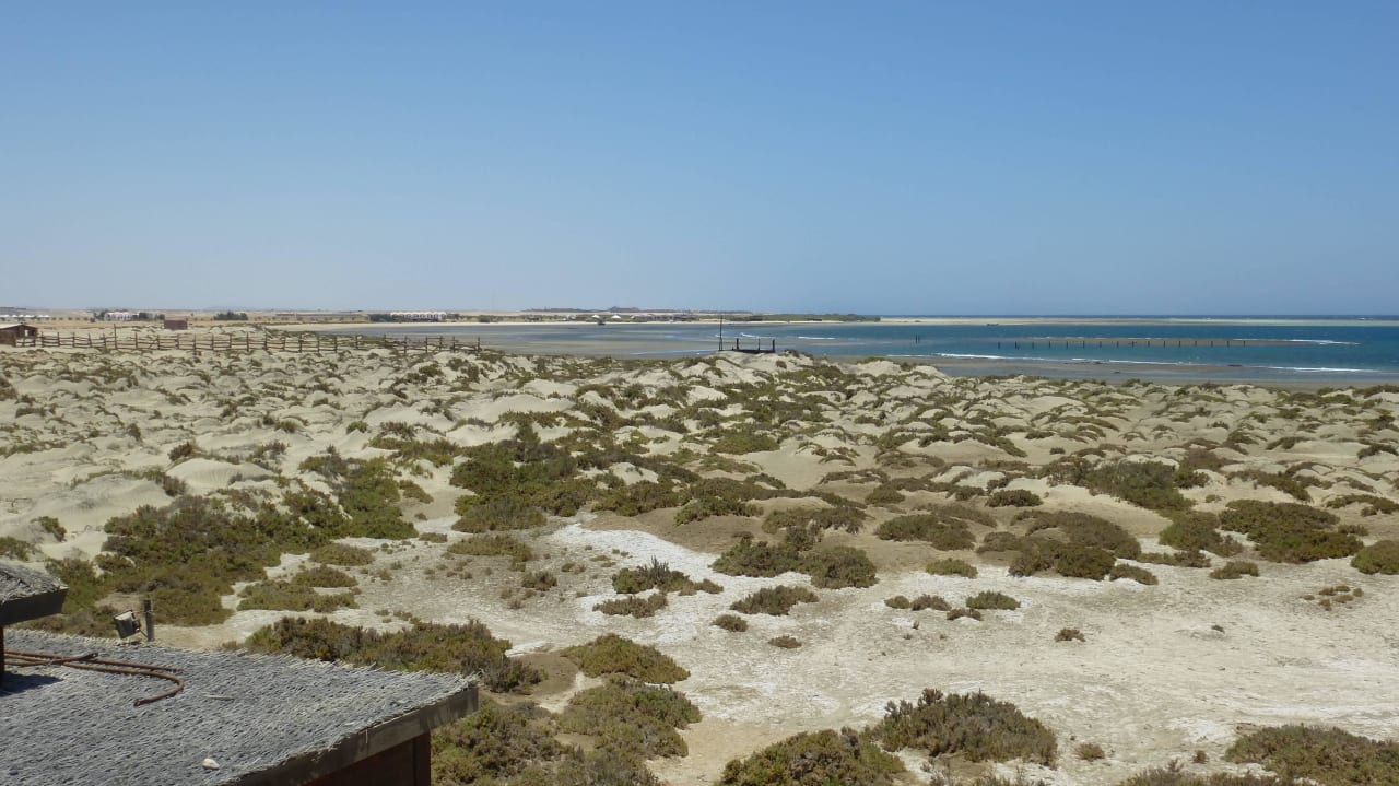 Hotel Lahami Bay Dünen u. Meer Lahami Bay Beach Resort