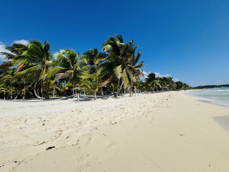 Strand TRS Yucatan Hotel - Adults only