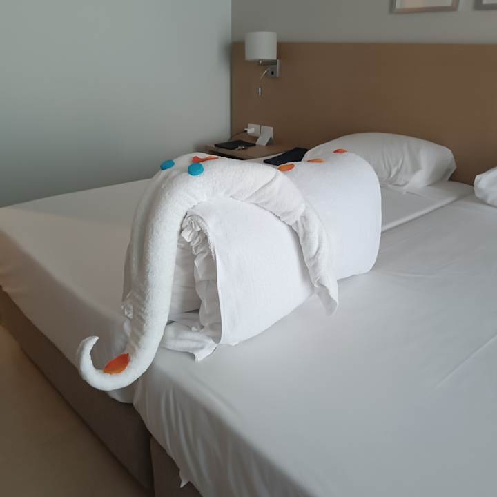 Zimmer JAZ Elite Asteria