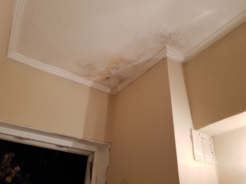 Zimmer Regulus Beach Resort Hotel Kadıkale