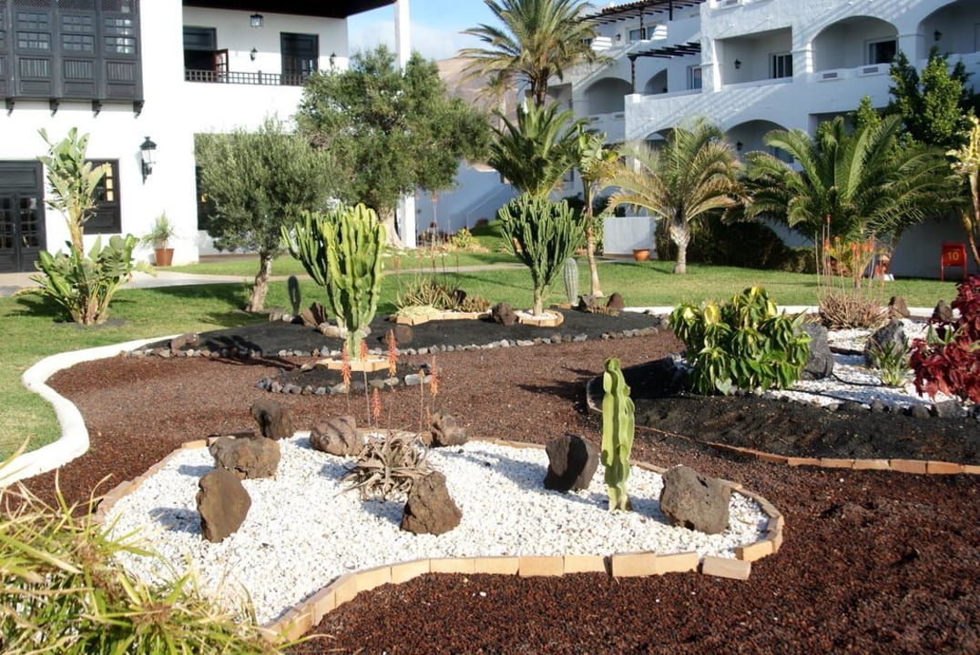 Garten vor dem Hauptrestaurant TUI MAGIC LIFE Fuerteventura