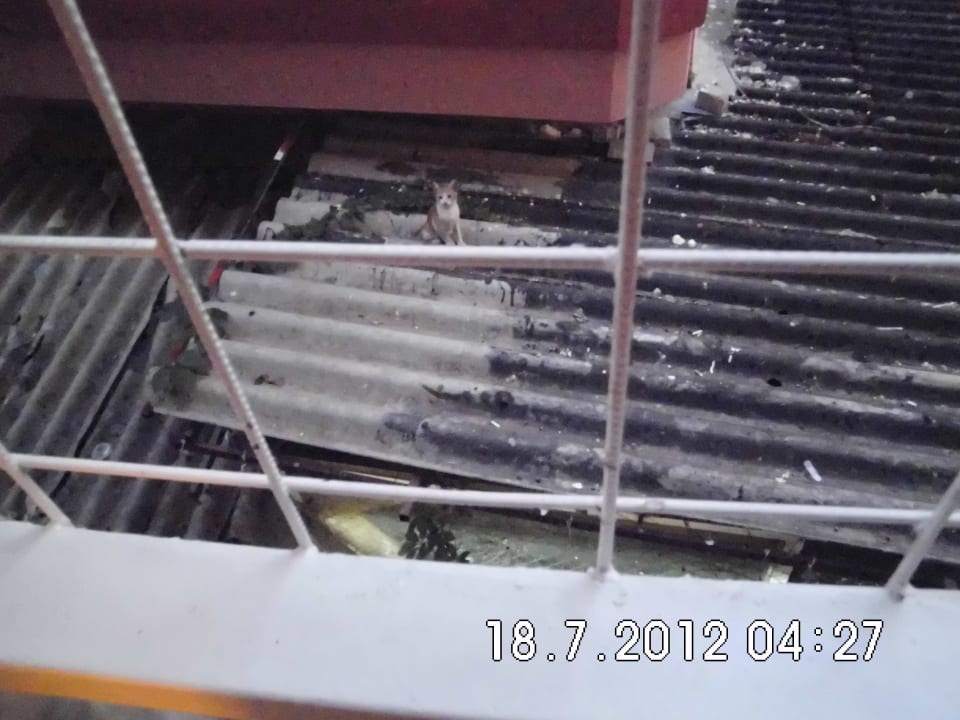 Ausblick vom Balkon Hotel Aslan City Kleopatra