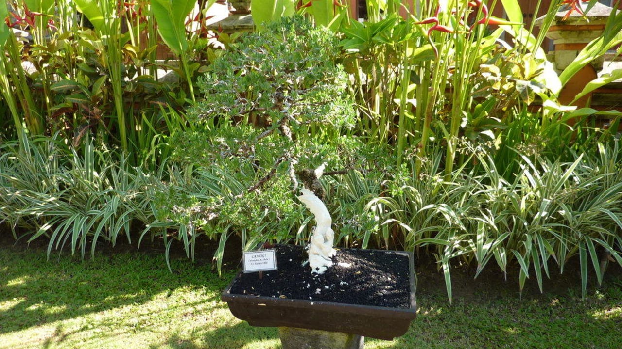 Garten Hotel Keraton Jimbaran Resort