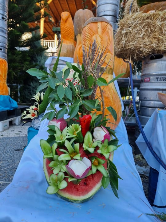 Sonstiges Dream Family Club