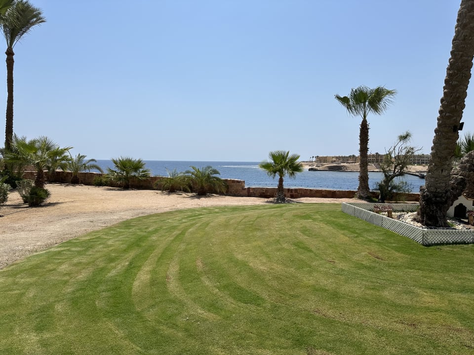 Gartenanlage Steigenberger Coraya Beach - Adults only