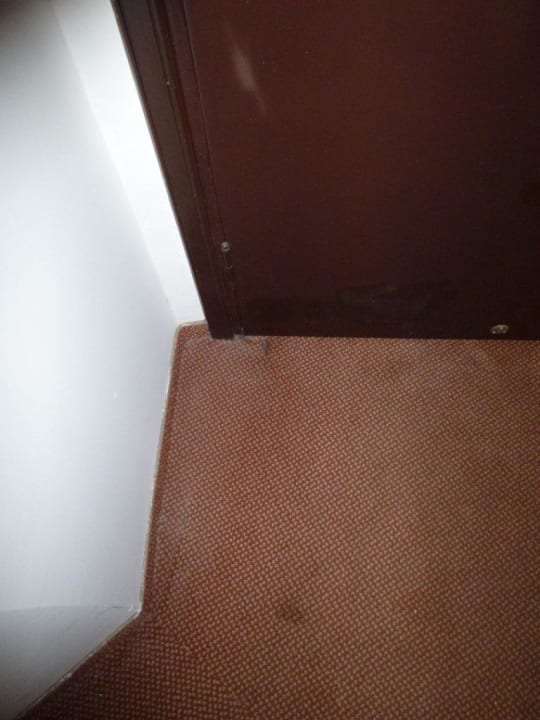 Teppich ist im ganzen Zimmer mit Flecken ausgestattet Semoris Hotel